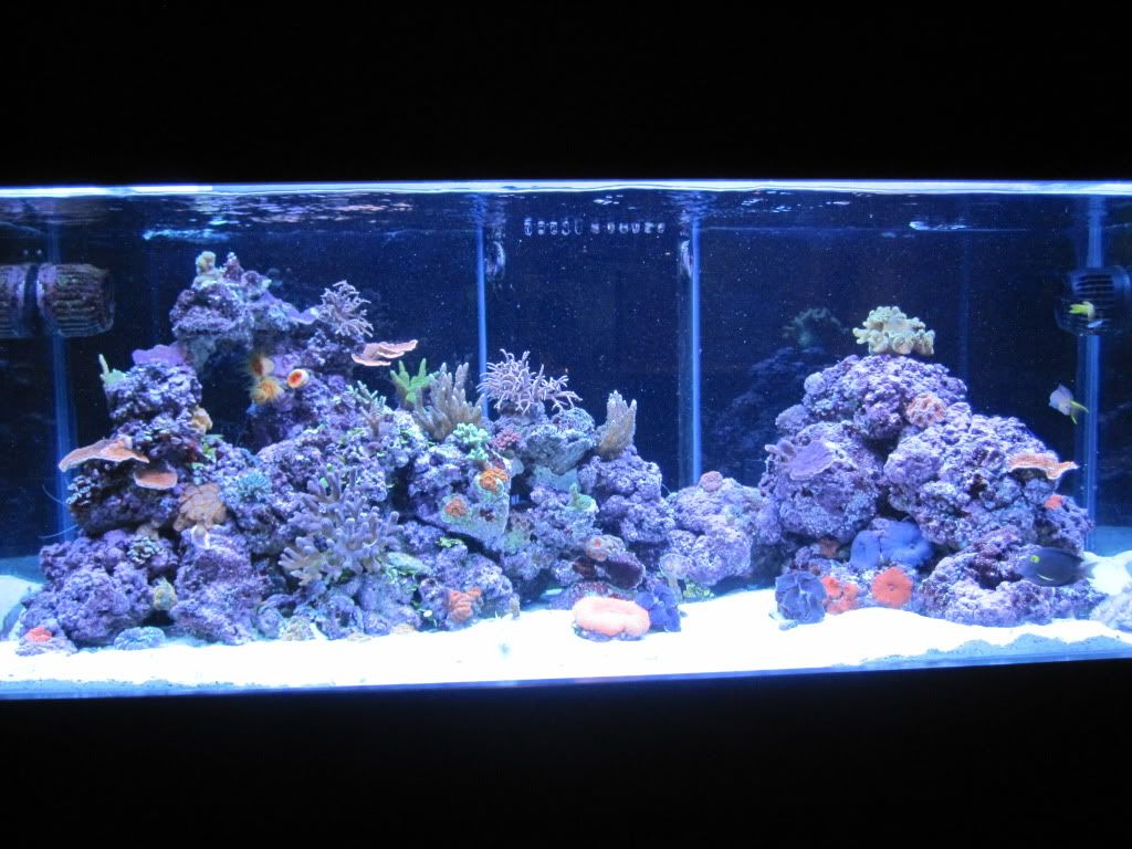 fts