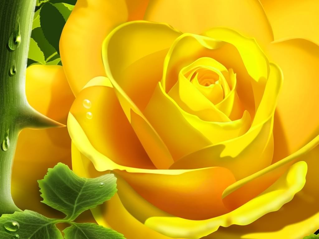 abstract_yellow_bloom_wds_1680x1050.jpg digital yellow rose image by MDigen