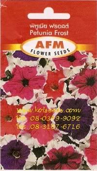 คลิกที่ภาพเพื่อชมภาพขยาย ดับเบิ้ลคลิกเพื่อลดภาพให้มีขนาดเท่าเดิม เมล็ดพันธุ์ดอกพิทูเนีย ฟรอสต์ ตราเอเอฟเอ็ม  เมล็ดพันธุ์ดอกพิทูเนียฟรอสต์