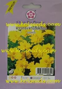 เมล็ดพันธุ์ดอกดาวกระจายสีเหลือง