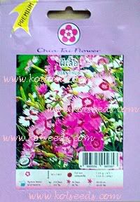 เมล็ดพันธุ์ดอกผีเสื้อ คละสี ตราเรือบิน