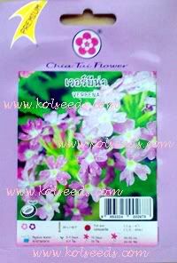เมล็ดพันธุ์ดอกเวอร์บีน่า