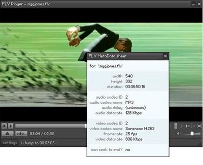 FLV Player & Downloader FLV Player & Downloader
