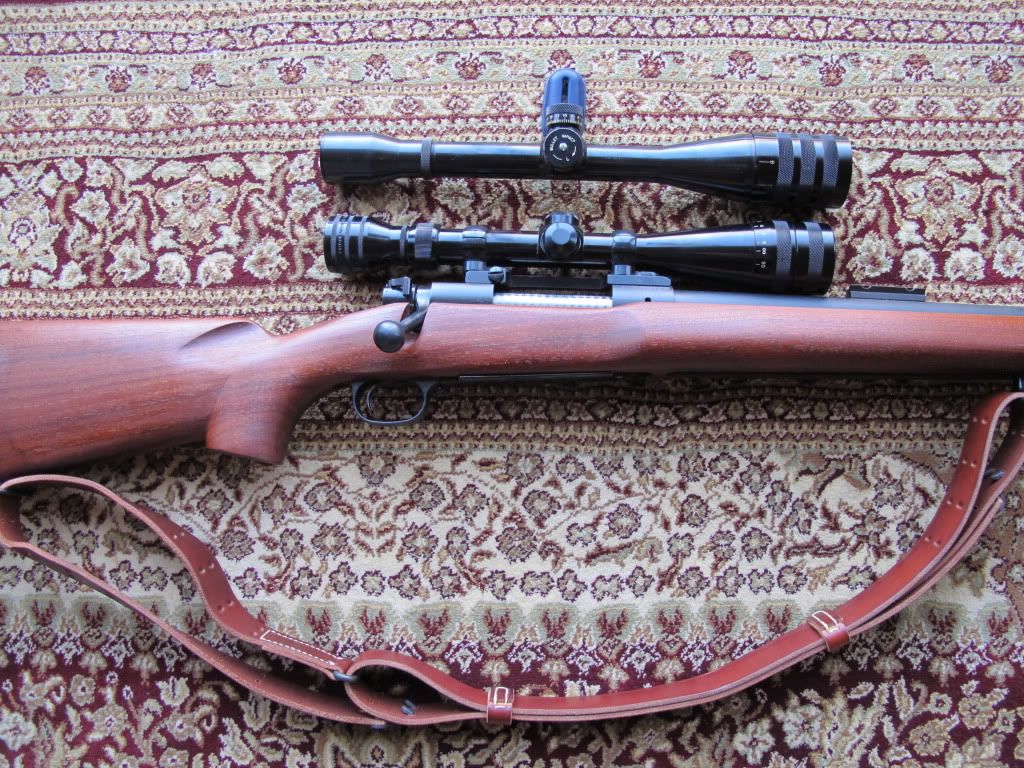 Model70marksman001.jpg