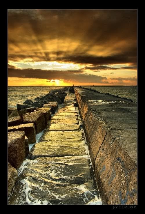 jose_ramos_16.jpg