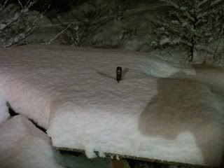 snowpics008.jpg