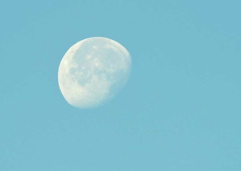 moon-3.jpg