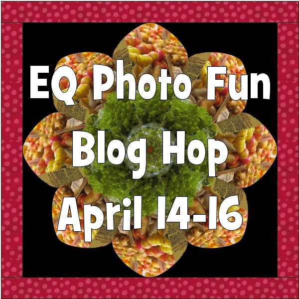 http://funthreads.blogspot.com/2014/02/eq-photo-fun-blog-hop-is-coming.html
