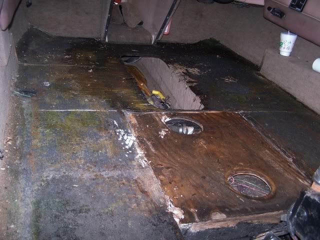 Floorshot.jpg
