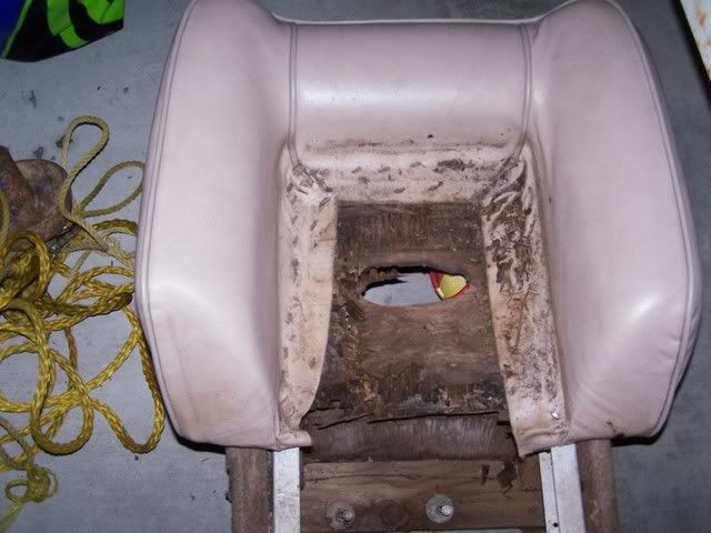Seatwoodrot.jpg