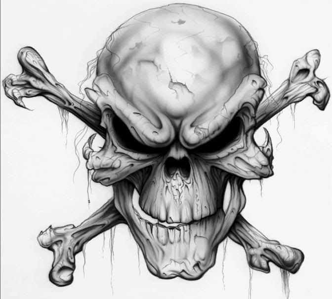 bones of skull. Bones: Skull :: Skull Cross