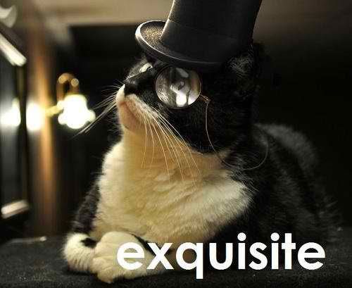 cat-top-hat-monocle-exquisite-1296670344